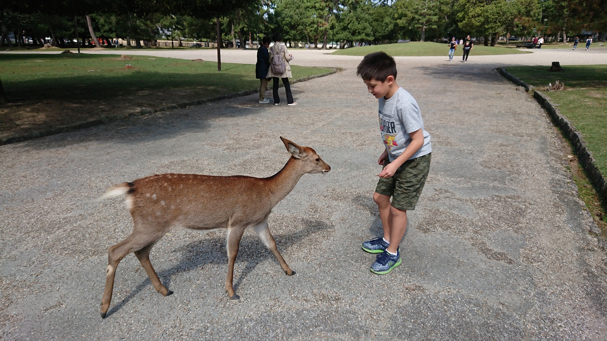 Oh deer! In Nara