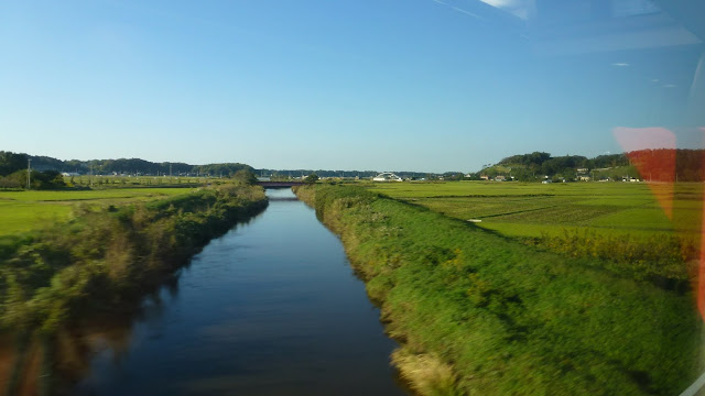 River and rice paddies